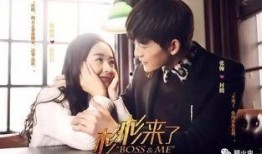 爆料视频大结局在线观看,揭秘真相，悬念揭晓！